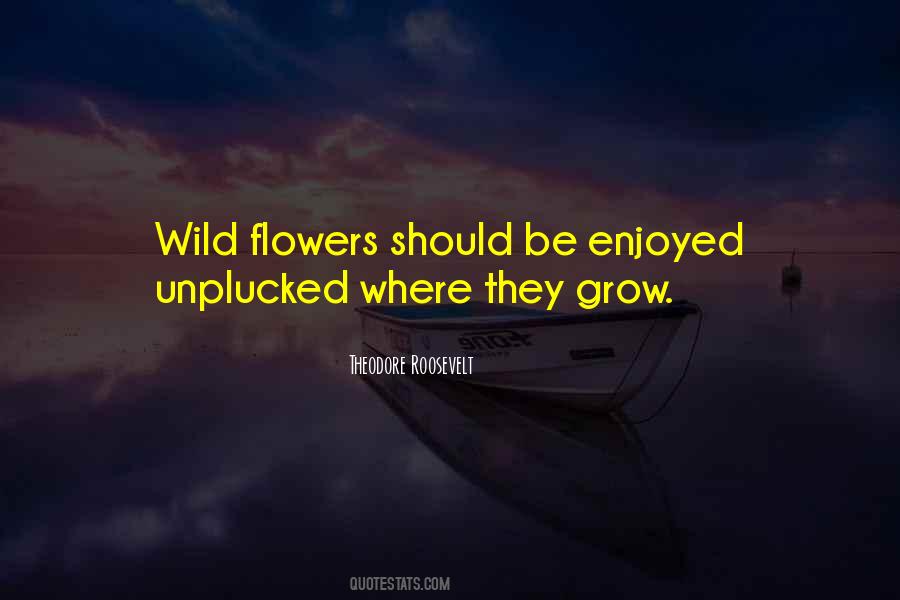 Wild Flower Quotes #1306827