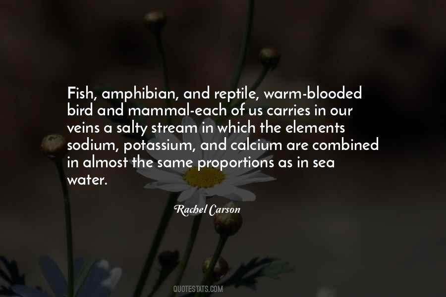 Fish And Bird Quotes #1577100