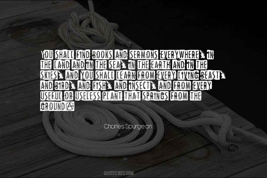 Fish And Bird Quotes #209996