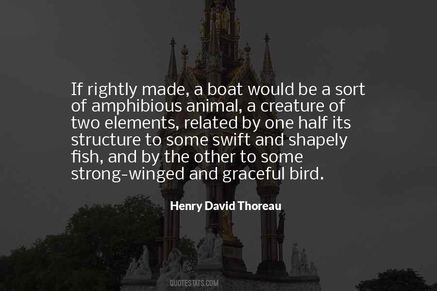 Fish And Bird Quotes #267474