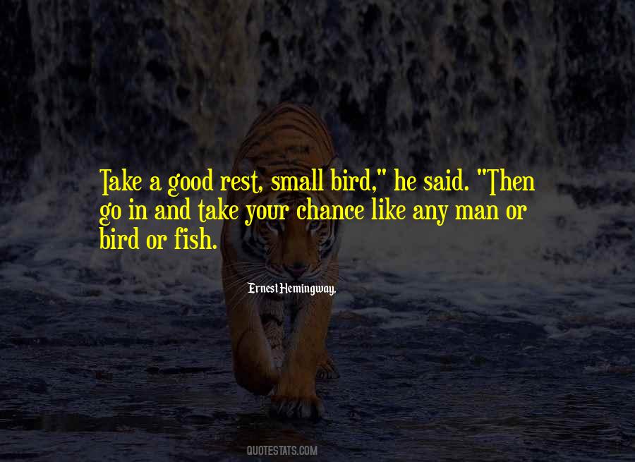 Fish And Bird Quotes #610185