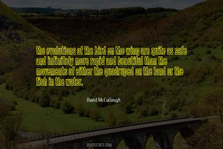 Fish And Bird Quotes #806079