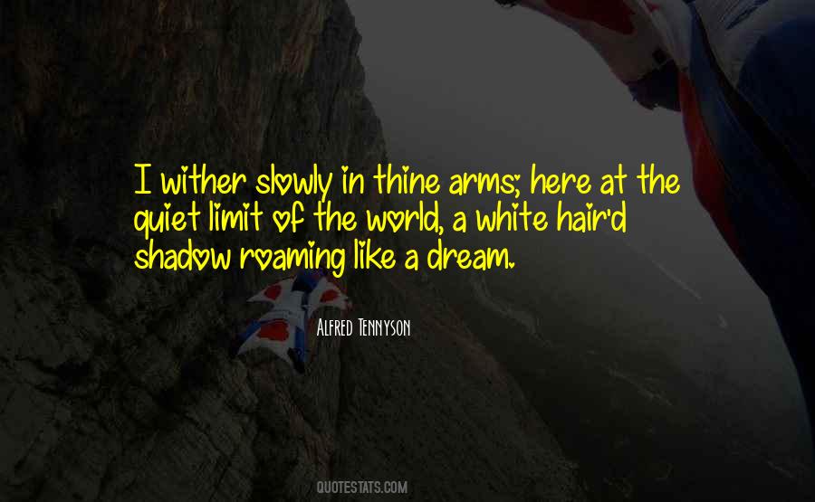 Dream Hair Quotes #462799