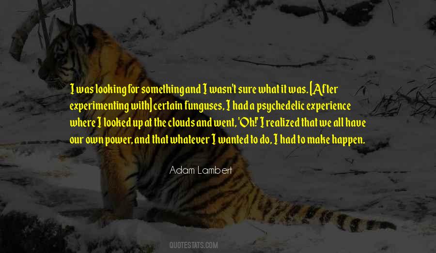 What Experience Quotes #324287