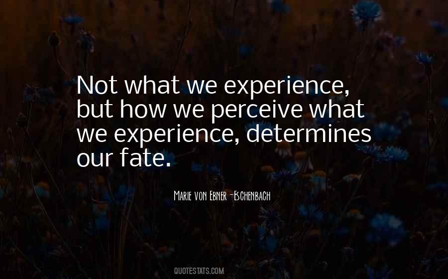 What Experience Quotes #56686