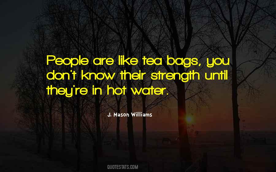 Mason Williams Quotes #376062