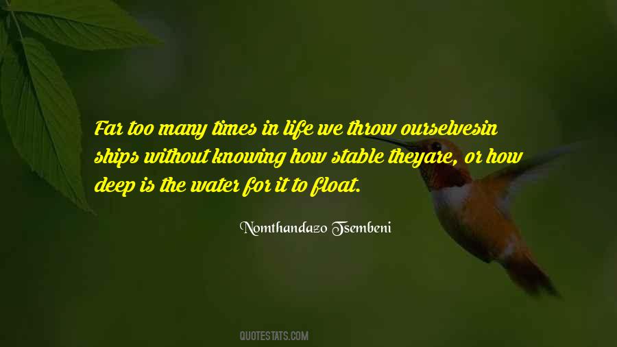 How Far Is Too Far Quotes #1366108