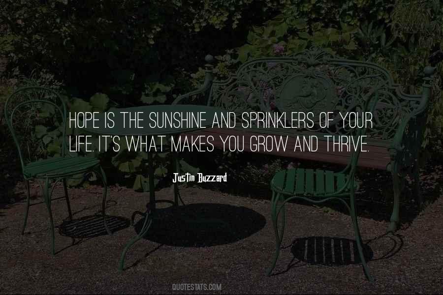 Life Is Sunshine Quotes #708936