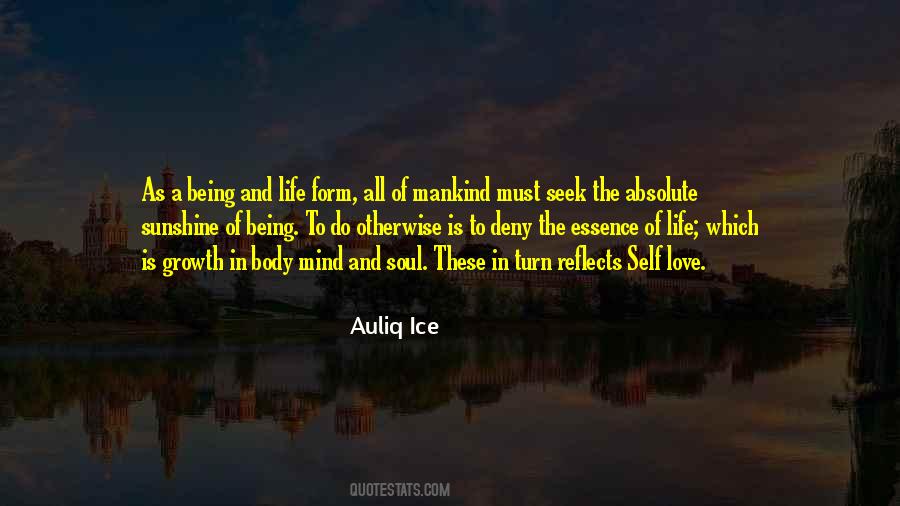 Life Is Sunshine Quotes #720361