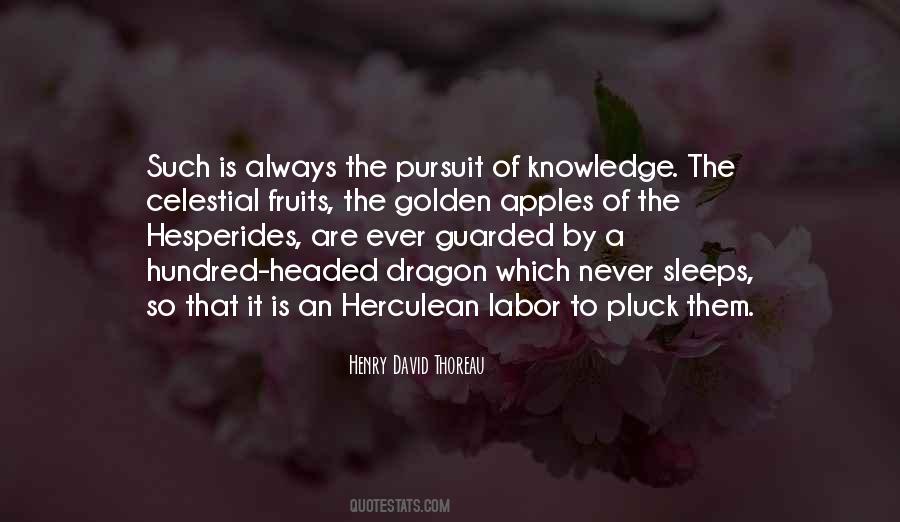 The Pursuit Of Knowledge Quotes #1719123