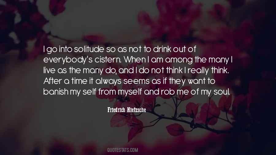 My Solitude Quotes #379260