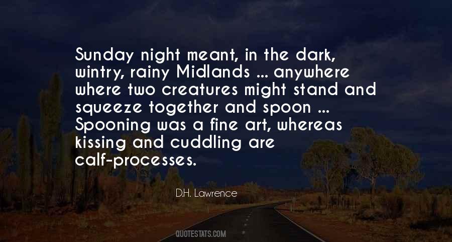 Every Dark Night Quotes #76608