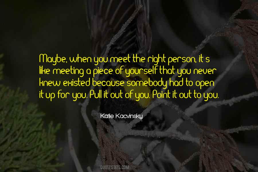 Every Person You Meet Quotes #276885