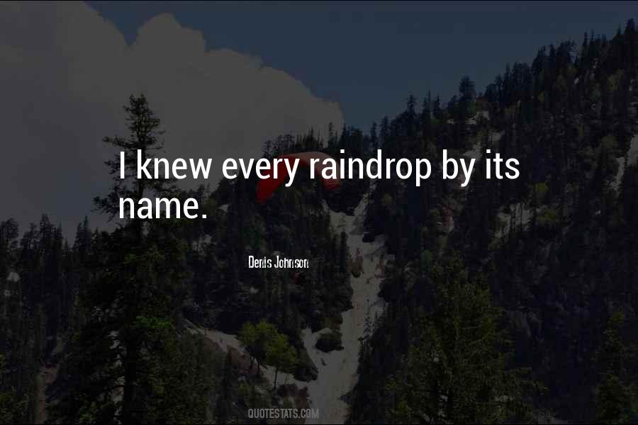 Every Raindrop Quotes #1718208