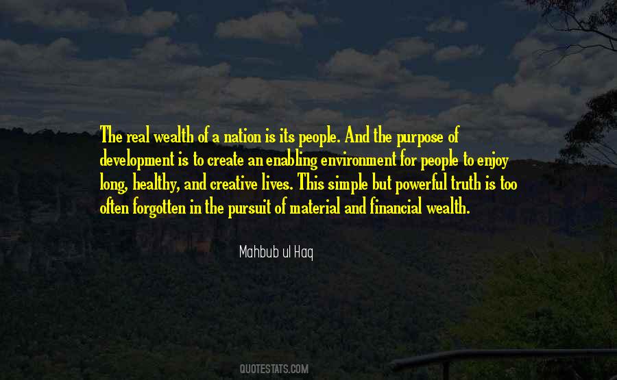 Quotes About The Pursuit Of Wealth #86895