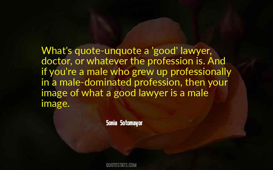Sotomayor Quote Quotes #679461