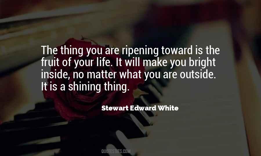 No Matter What You Are Quotes #389611