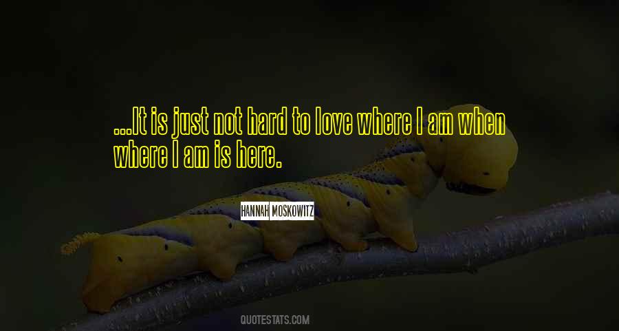 Not Hard To Love Quotes #1023524