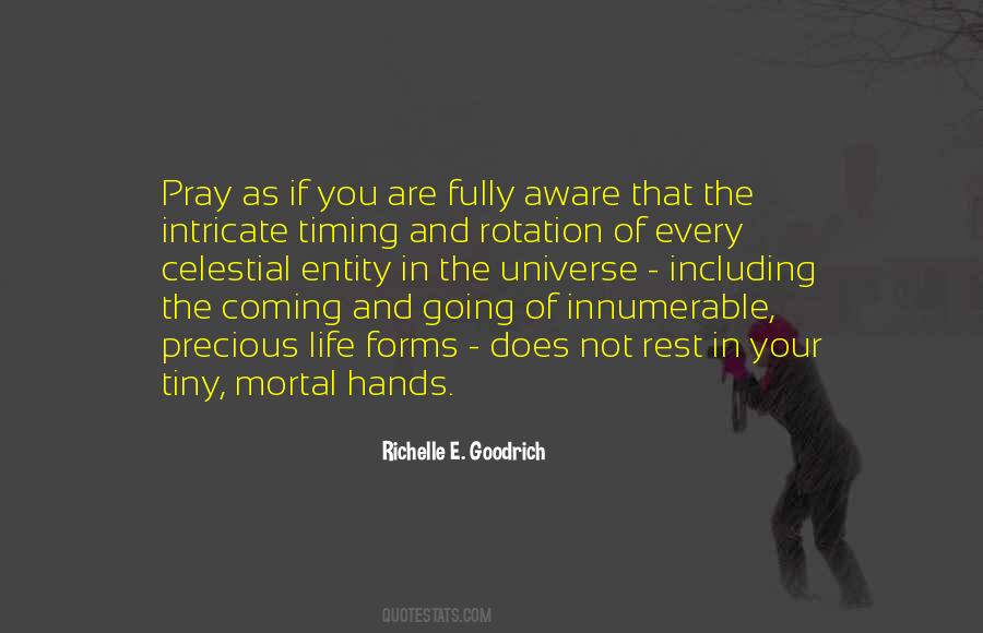 Universe In Your Hands Quotes #600142
