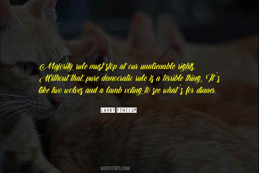 For Voting Quotes #161195