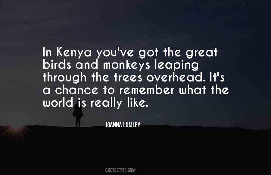 Through The Trees Quotes #1208277