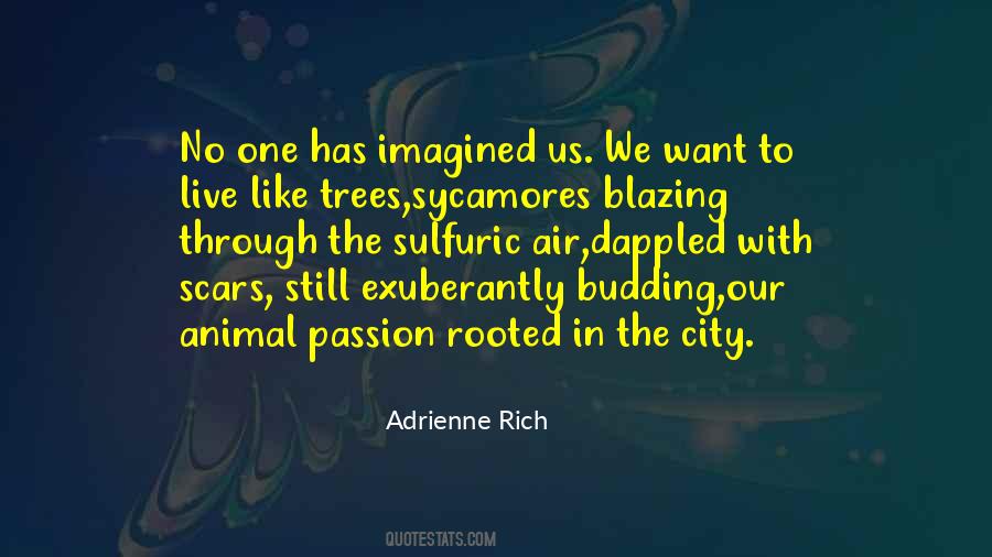 Through The Trees Quotes #872166