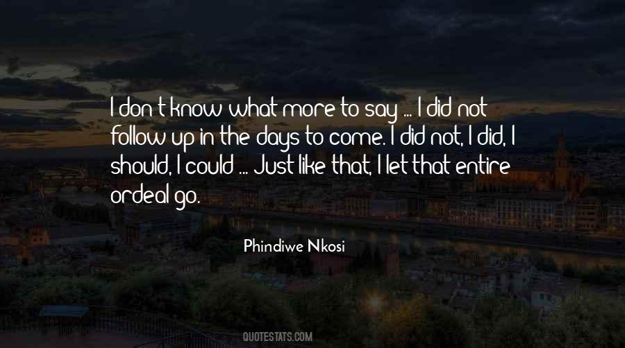 Could Let Go Quotes #1588895