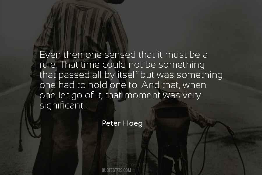 Could Let Go Quotes #668933