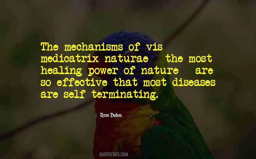 Self Nature Quotes #969556
