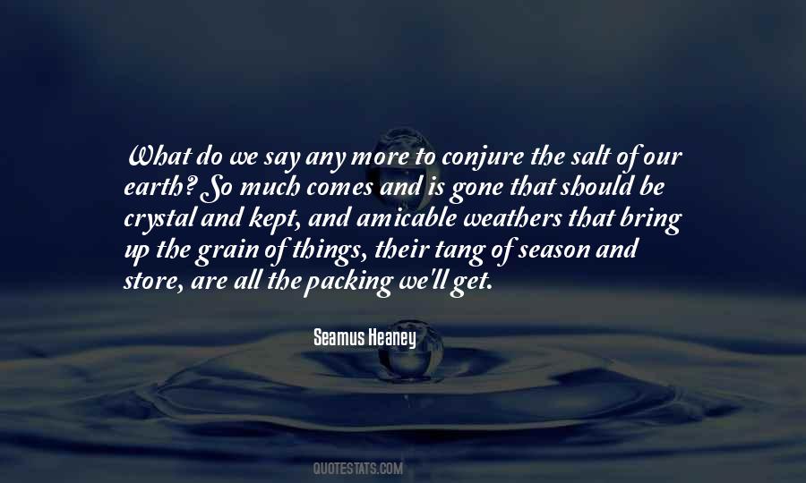 We Are What We Say Quotes #1821719