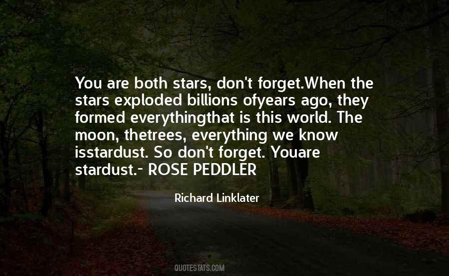 You Forget Everything Quotes #48193