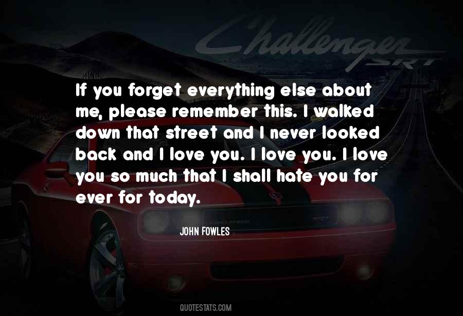 You Forget Everything Quotes #558581