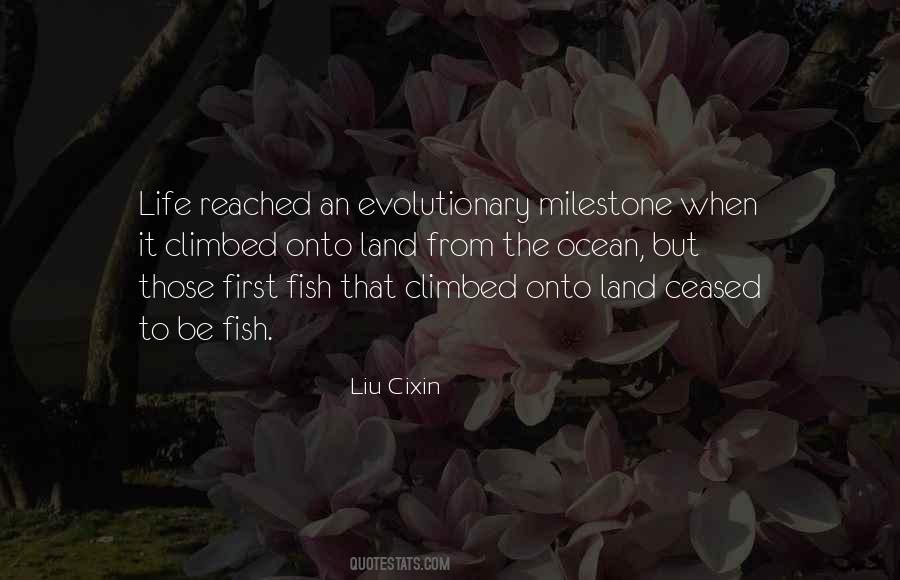 Fish Inspirational Quotes #747695