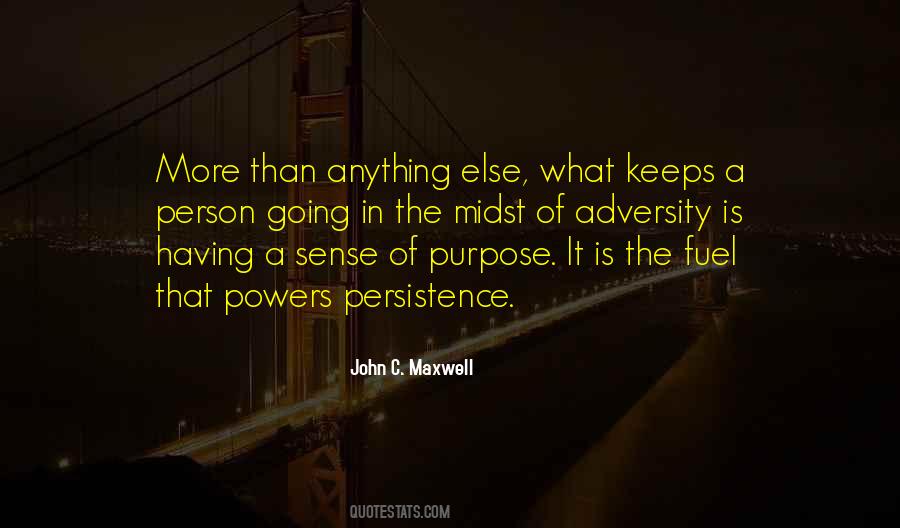 In The Midst Of Adversity Quotes #1691580