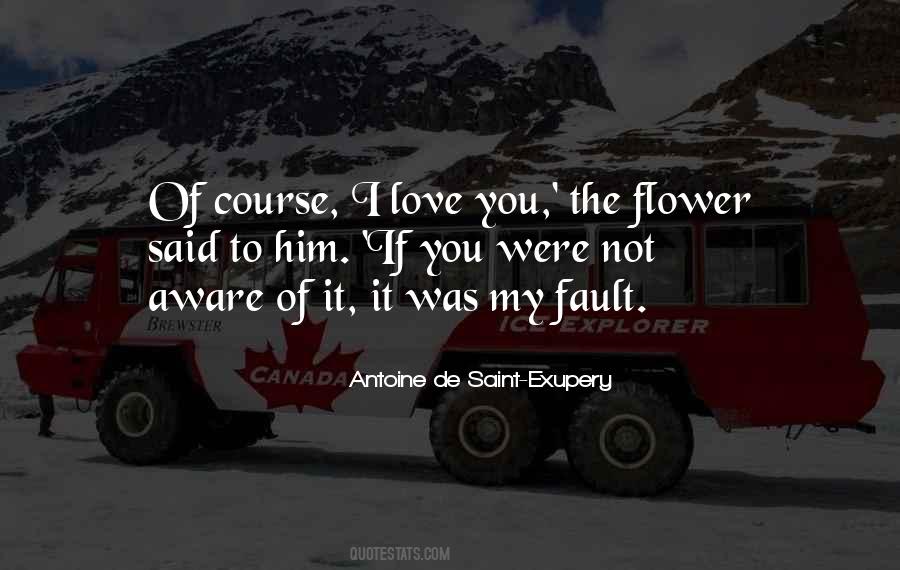 Fault Love Quotes #1028610
