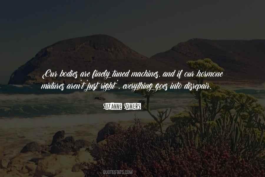 Everything Goes Right Quotes #1339565