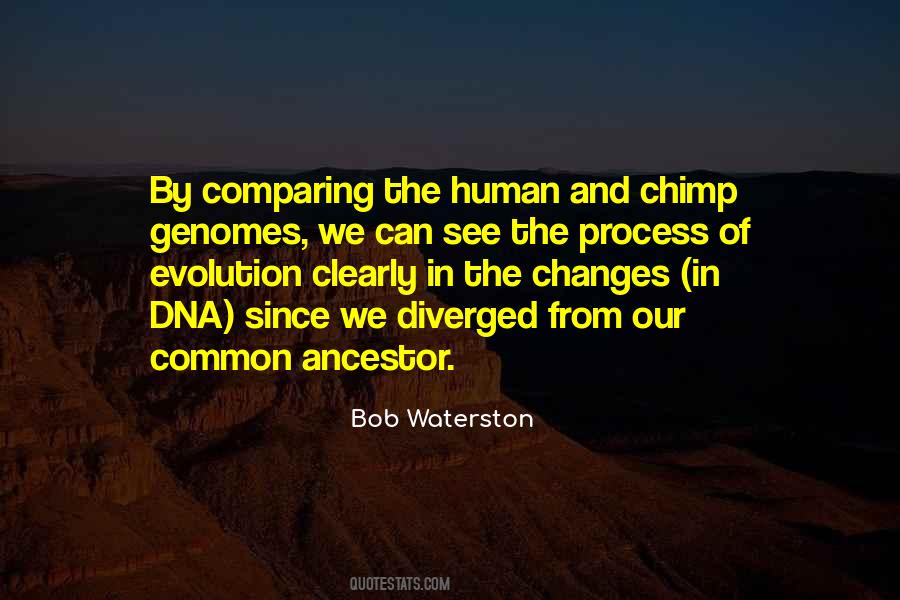 Changes In Human Quotes #971023