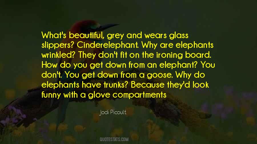 Quotes About An Elephant #1402025