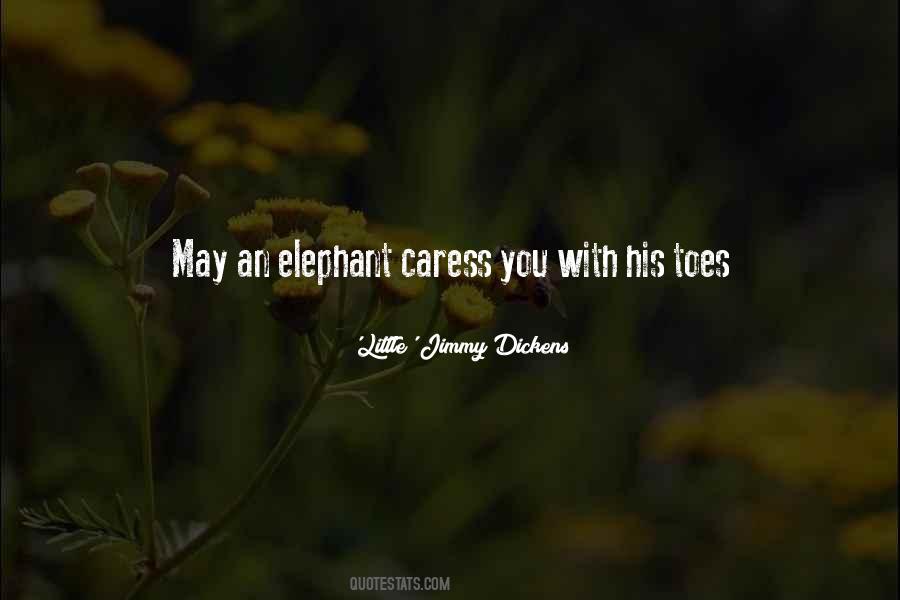 Quotes About An Elephant #1803376