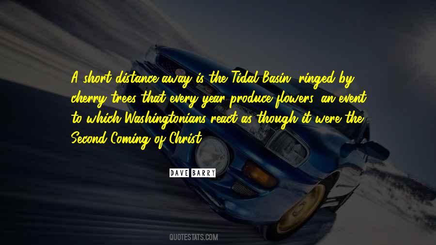 React It Quotes #129902