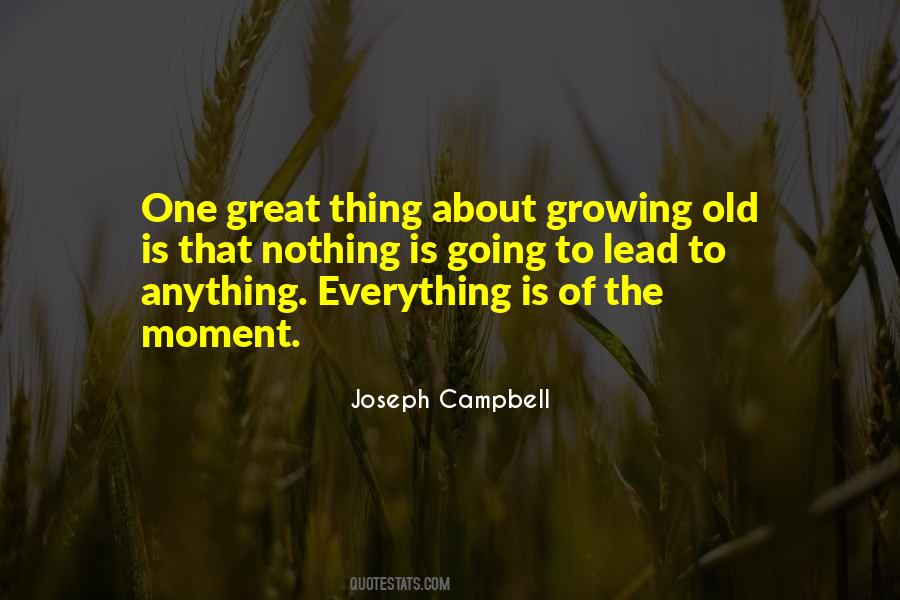 Everything Is Going Great Quotes #411334
