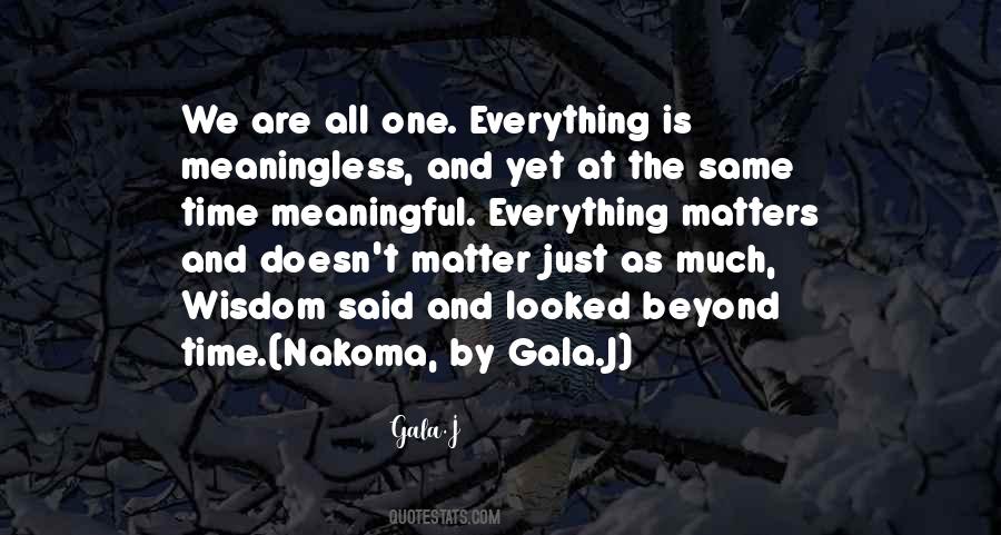 Everything Is Meaningless Quotes #110352