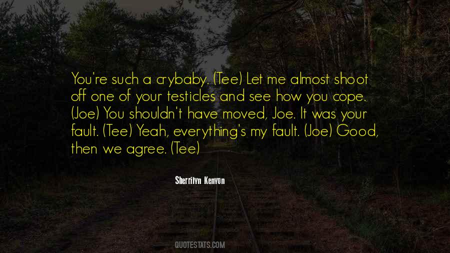 Everything Is My Fault Quotes #7980