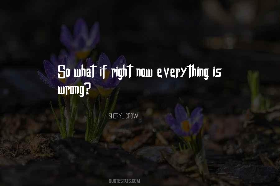 Everything Is Wrong Quotes #1463882