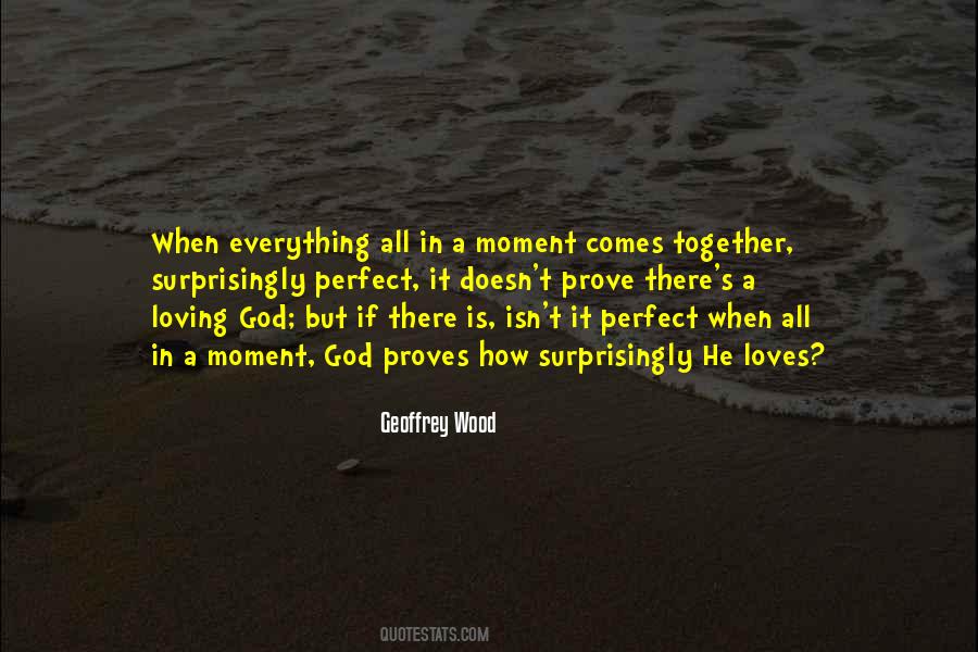 Everything Isn't Perfect Quotes #357797