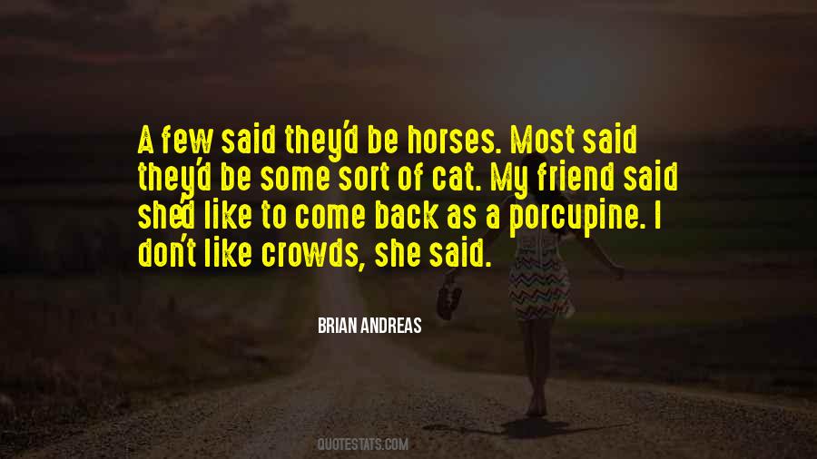 Quotes About Story Of Friendship #589543