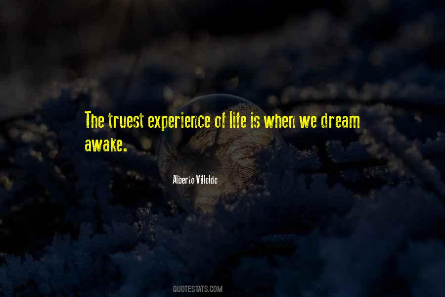 Dream Awake Quotes #1146072
