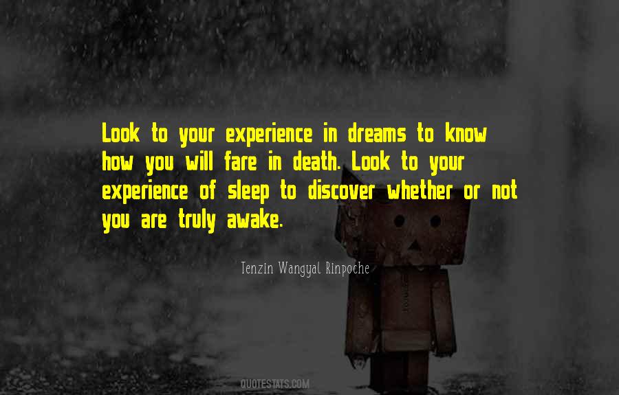 Dream Awake Quotes #675446