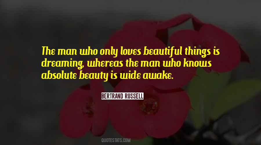 Dream Awake Quotes #845166
