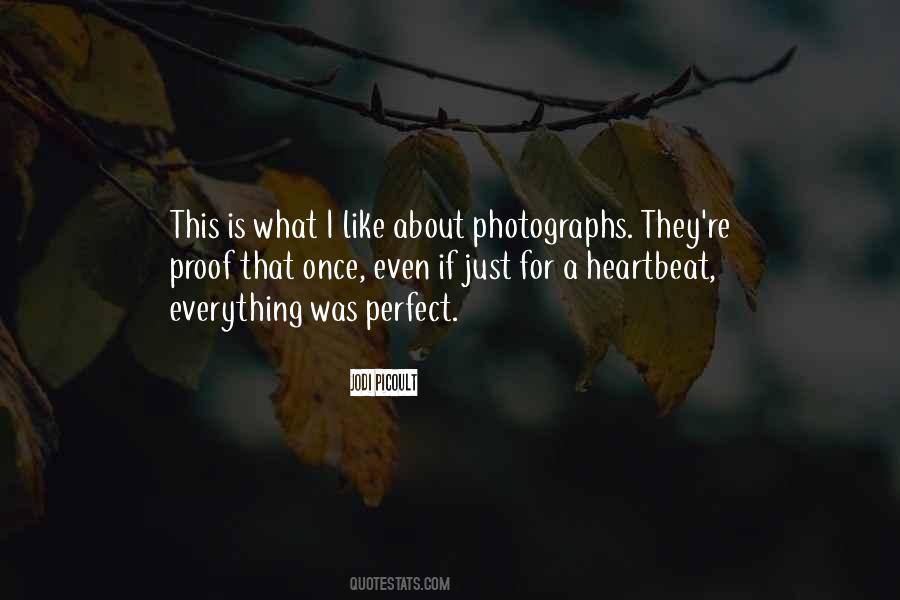 Everything Was Perfect Quotes #1606372